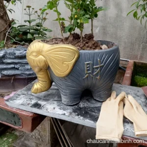 Chậu xi măng con voi