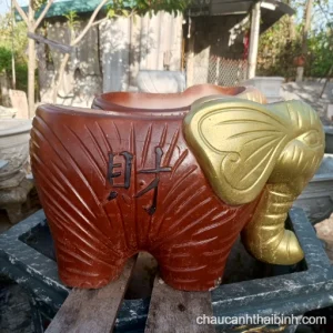 Chậu xi măng con voi