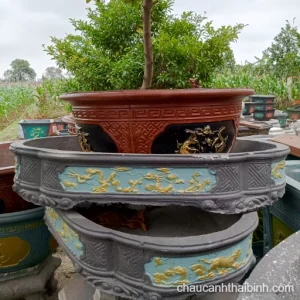 Chậu bon sai mini