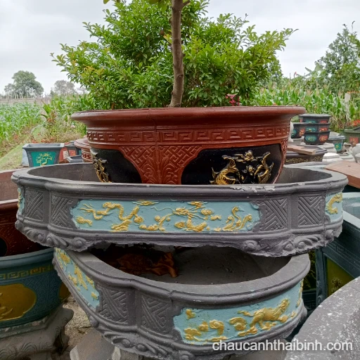 Chậu bon sai mini