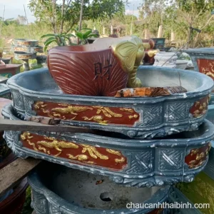 Chậu bon sai mini
