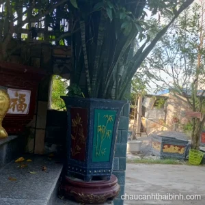 chau-canh-hoa-tiet-tre-va-hoa