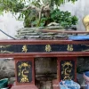 Chậu bon sai