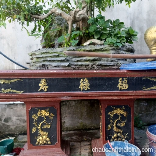 Chậu bon sai