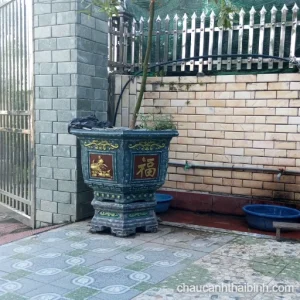 Chậu lục giác không đế