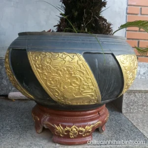 Chậu tròn bi