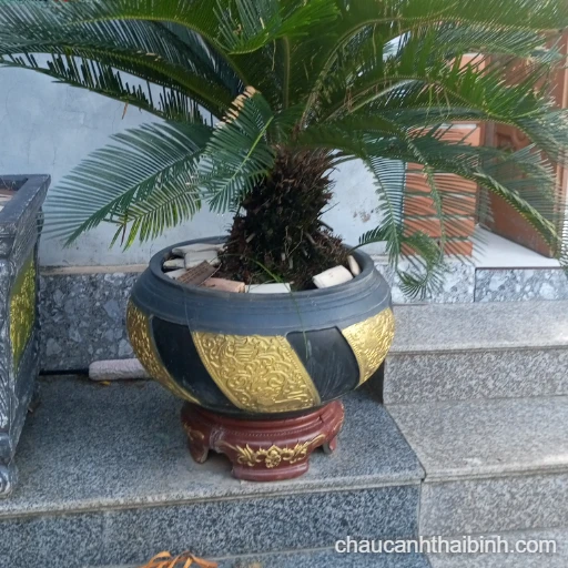 Chậu xi măng tròn bi