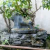 Tiểu cảnh gốc cây xanh