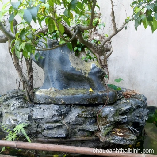Tiểu cảnh gốc cây xanh